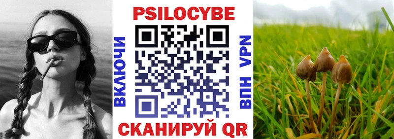 купить   кракен ТОР  Галлюциногенные грибы Cubensis  Белый 